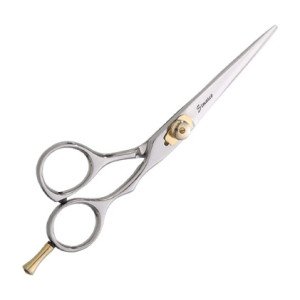 Professional Hair Scissors