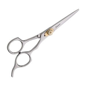 Professional Hair scissor