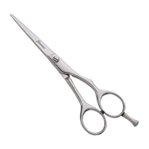 Professional Hair Scissors