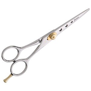 Professional Hair Scissors