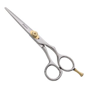 Professional Hair Scissors