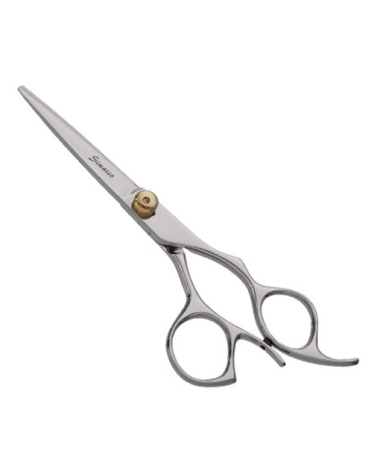 Professional Hair Scissors