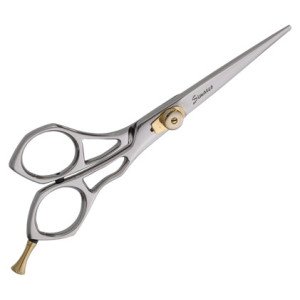 Professional Hair Scissors