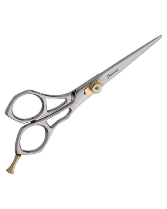 Professional Hair Scissors