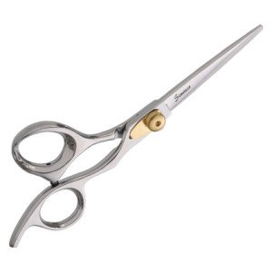 Professional Hair scissors