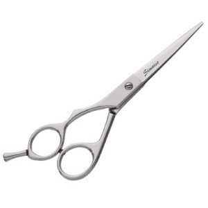 Professional Hair Scissors