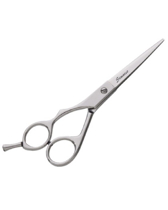 Professional Hair Scissors