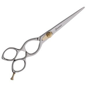 Professional Hair scissors
