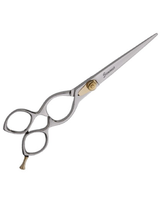 Professional Hair scissors