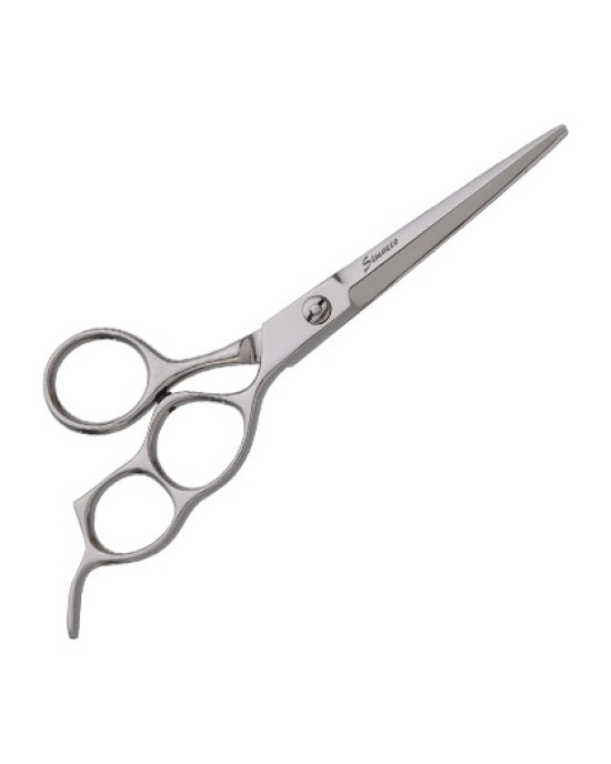 Professional Hair scissors