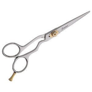Professional Hair scissors