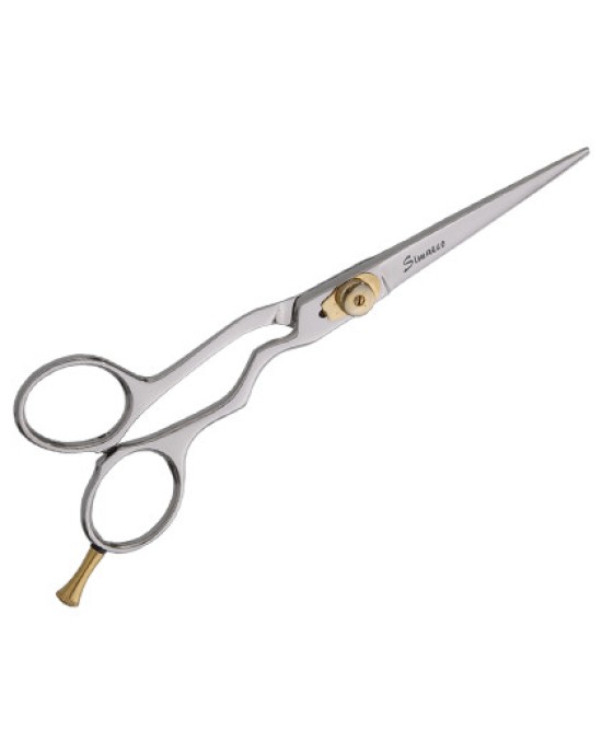 Professional Hair scissors