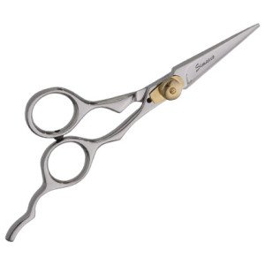 Professional Hair scissors 5"