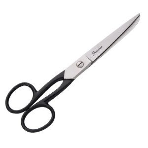 Beauty Scissors
