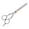 Professional Thinning Scissors