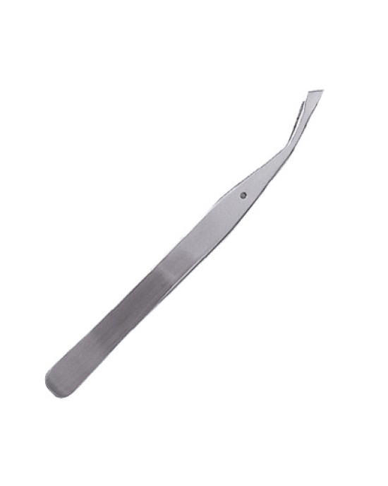 Beauty Tweezers